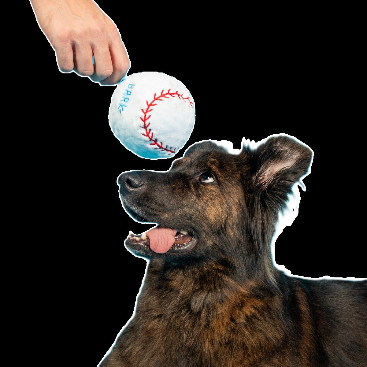 Major Lick Baseball Plush Fetch Dog Toy