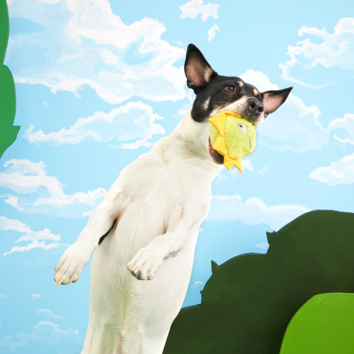Sunny Boy Plush Fetch Dog Toy
