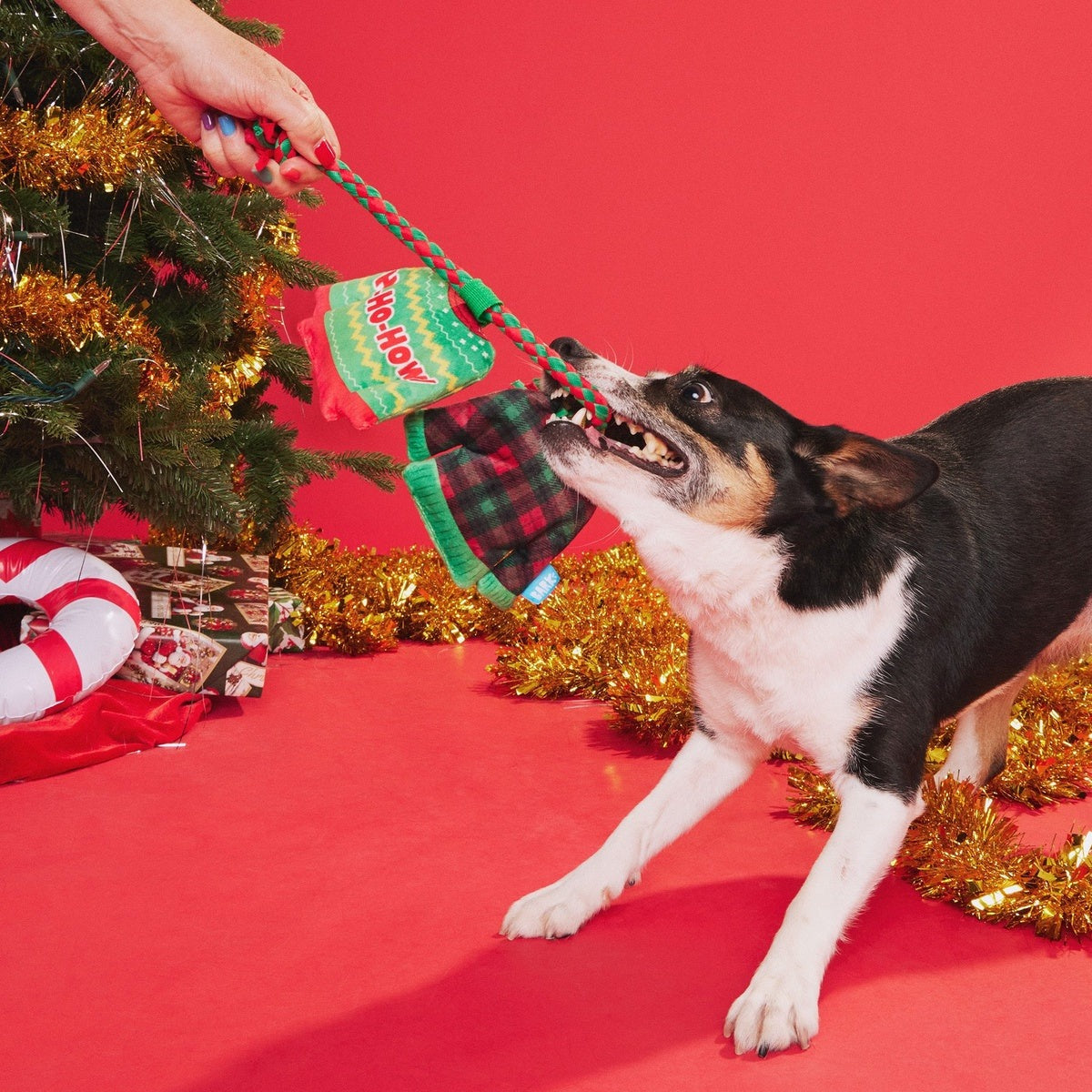 Christmutts Sweater Tug and Rope Plush Tug Dog Toy
