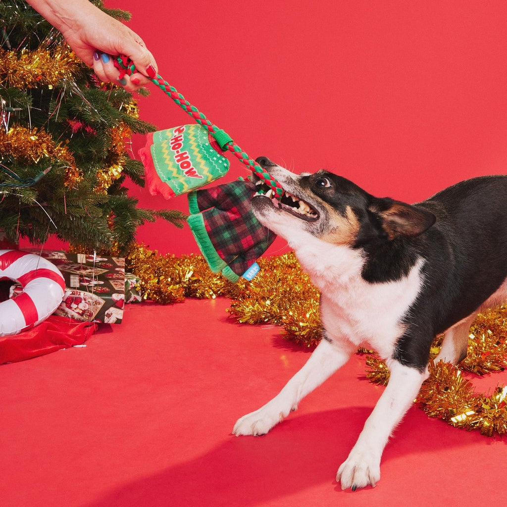 Christmutts Sweater Tug and Rope Plush Tug Dog Toy