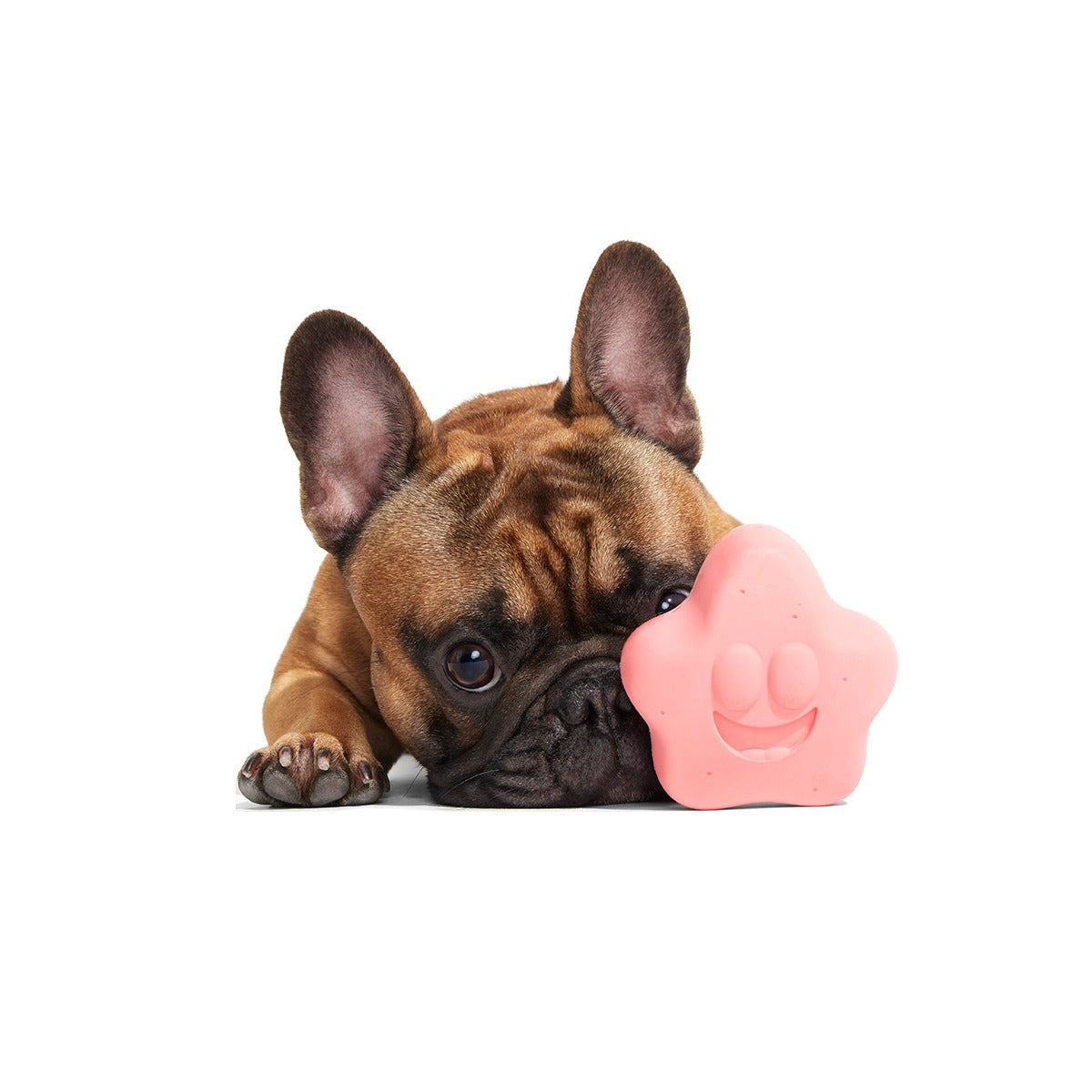 Goofy Goober Patrick Super Chewer Durable Fetch Dog Toy