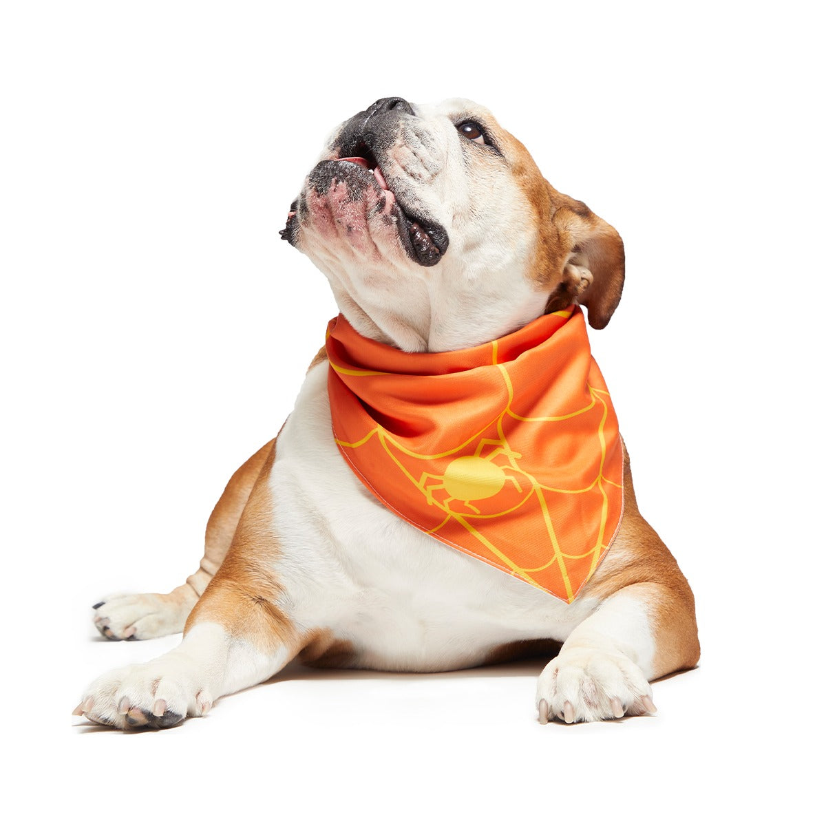 Candy Corn Dog Bandana