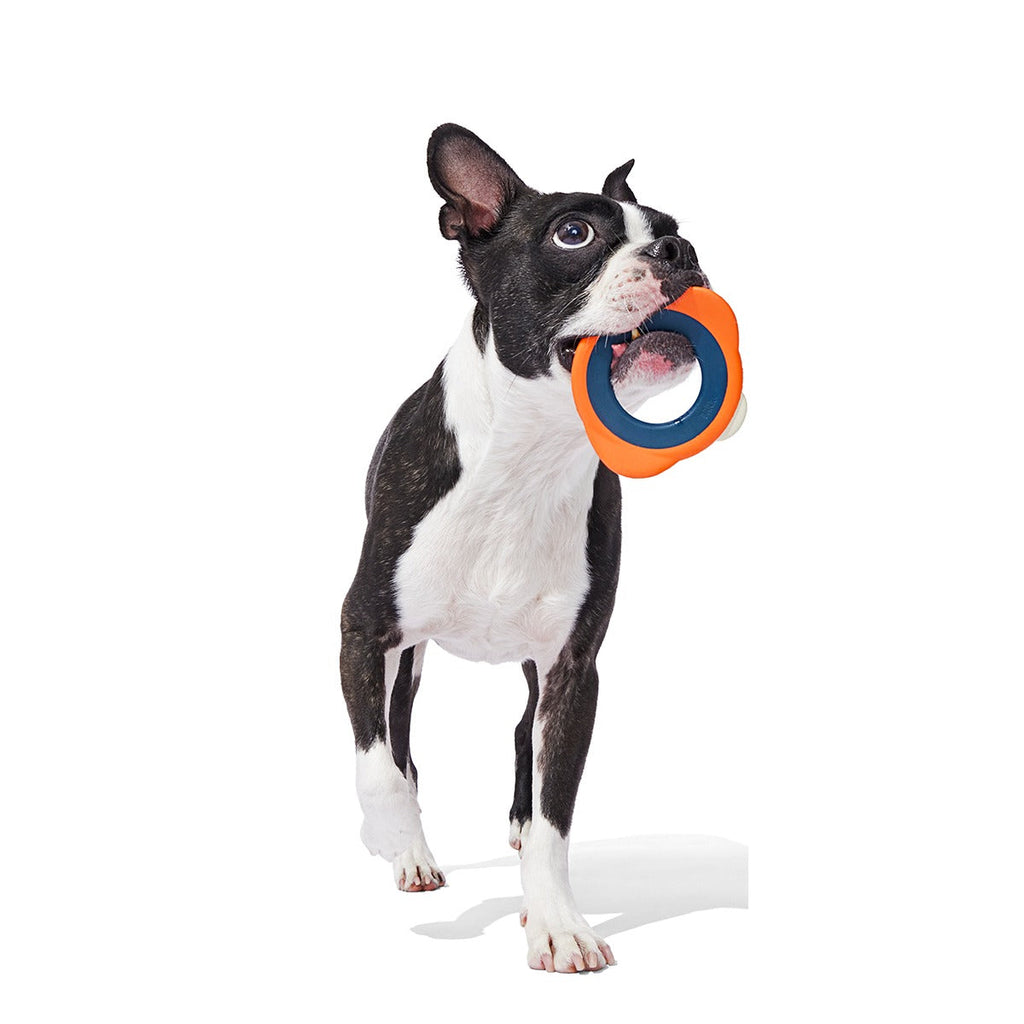 Flingray Super Chewer Durable Fetch Dog Toy