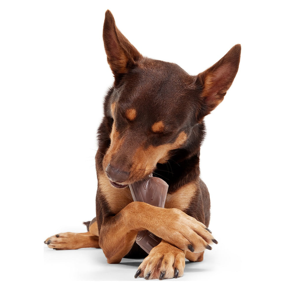 Fall Fetch Stick Super Chewer Durable Gnaw Dog Toy