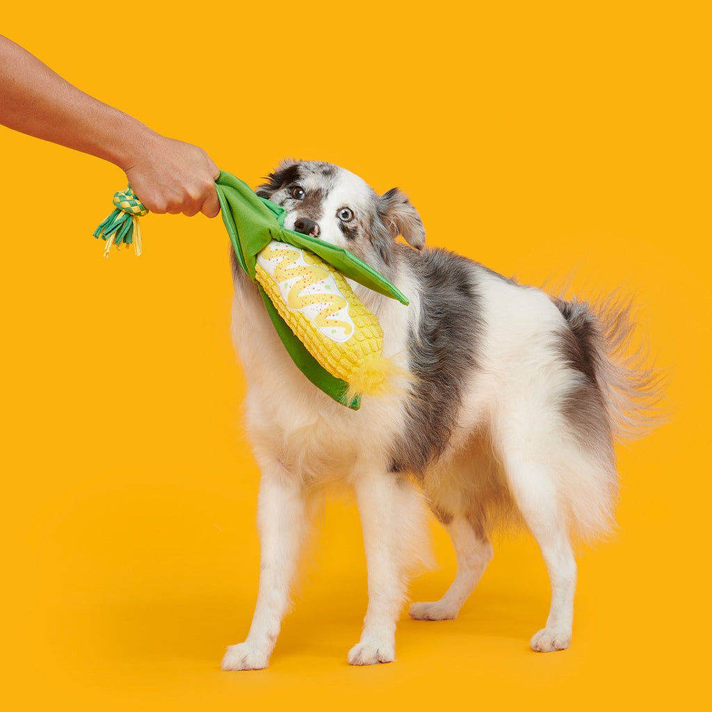Elote Fun Corn Plush Tug Dog Toy