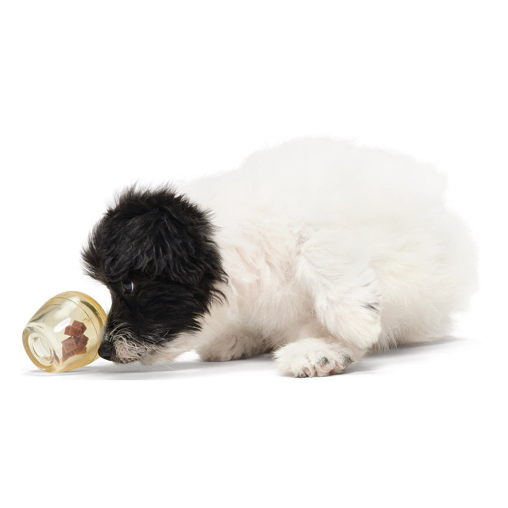 Tipsy Toast Glass Super Chewer Durable Enrichment Dog Toy