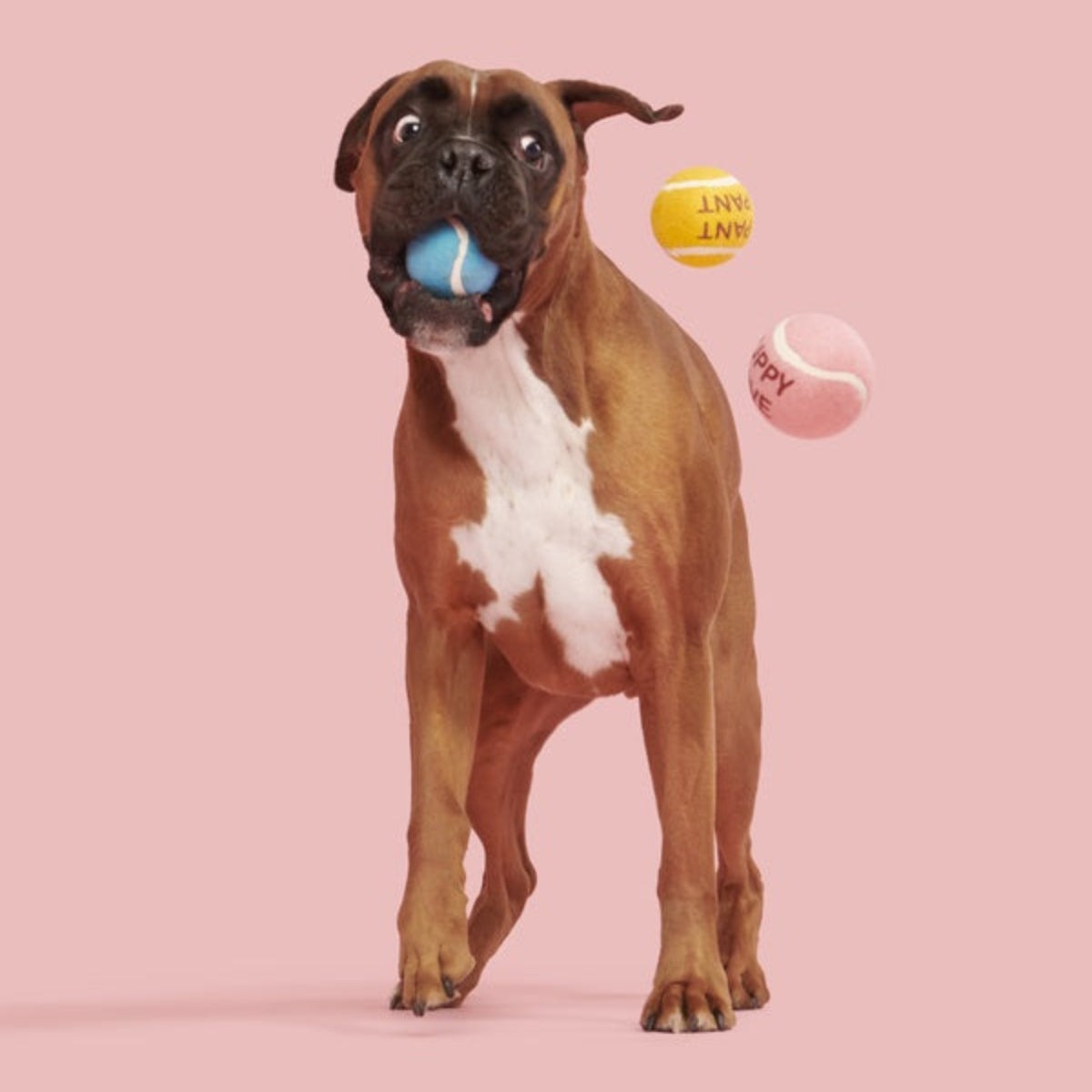 Squeakheart Balls