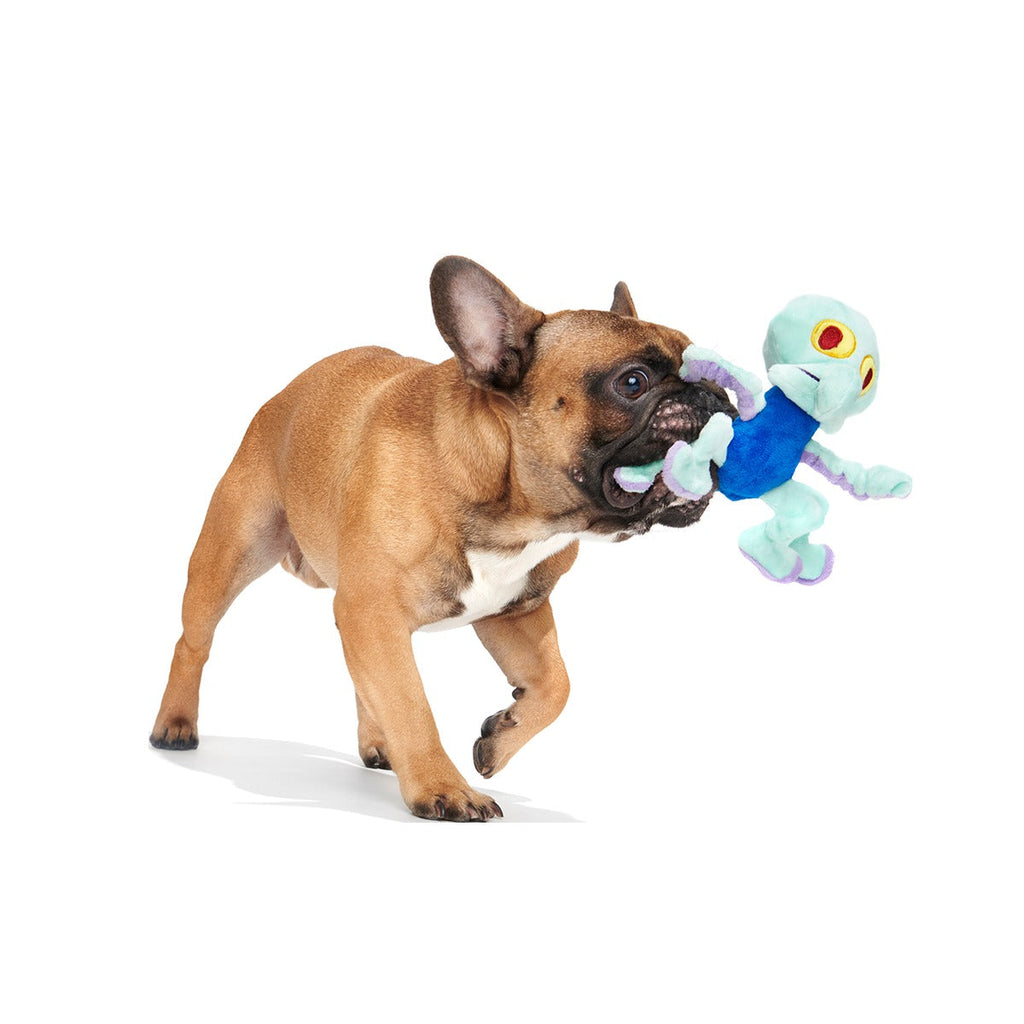 Dancing Squidward Plush Tug Dog Toy