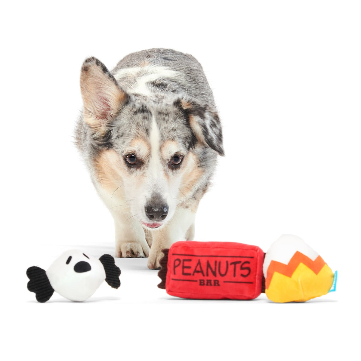 Snoopy Howl-O-Ween Candy Plush Multi-Part Dog Toy