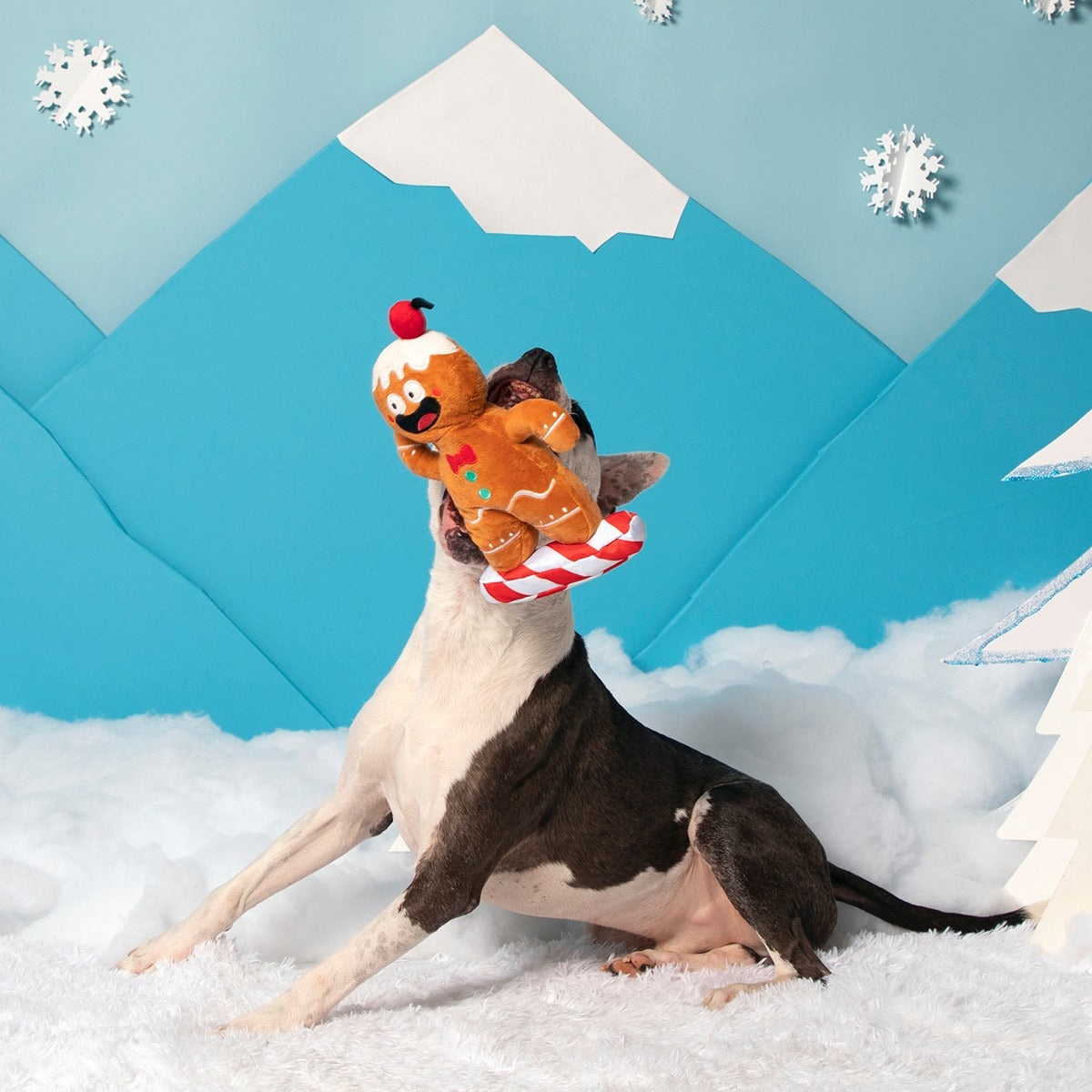Gingershred Man Plush Tug Dog Toy