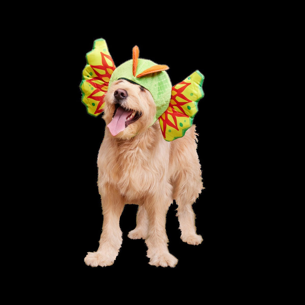 Spittin' Image Dino Collar Plush Wearable Dog Toy