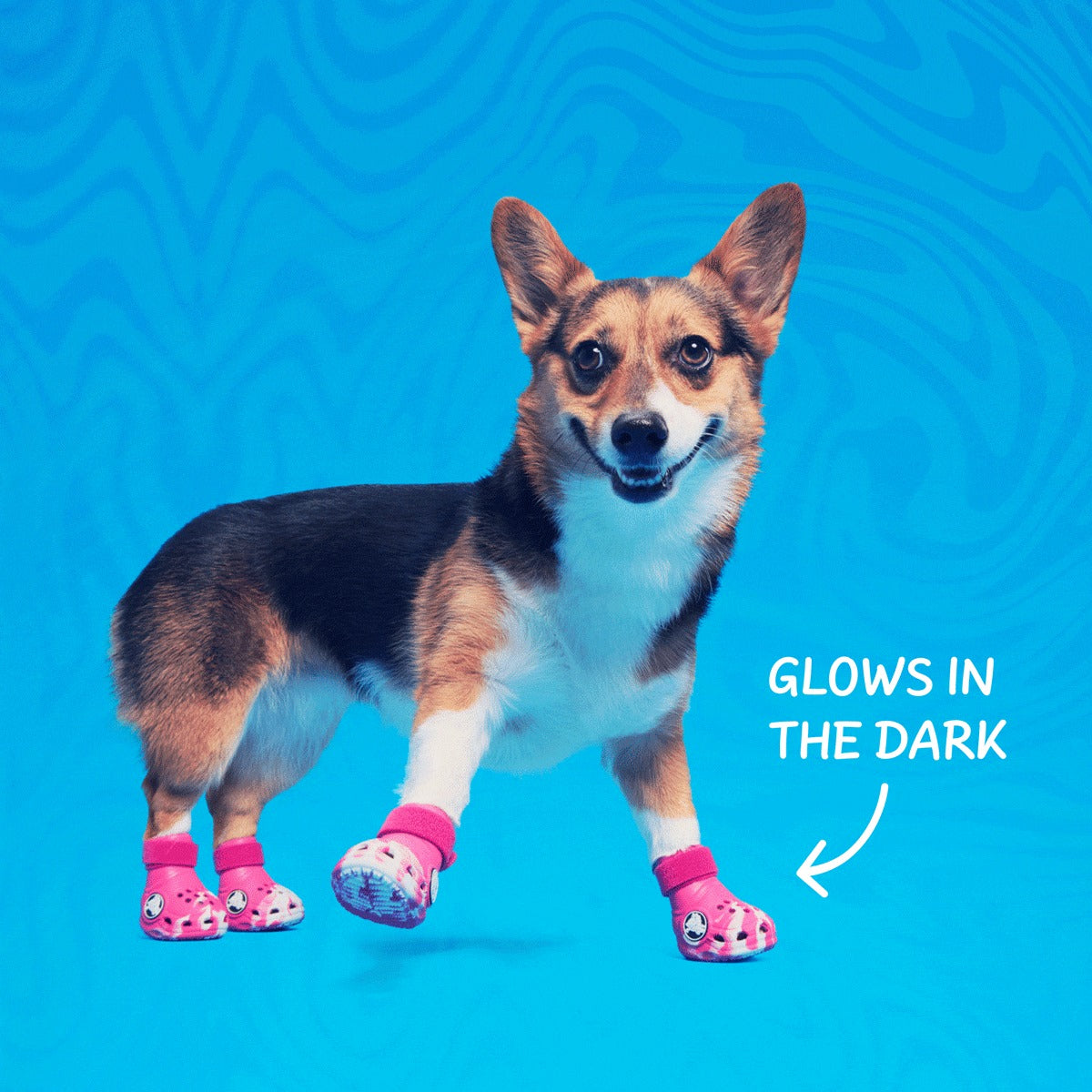 CrocsTM Shoes For Dogs