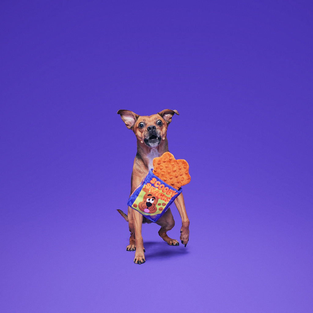Spooky Scooby'sTM Snacks Plush Enrichment Dog Toy