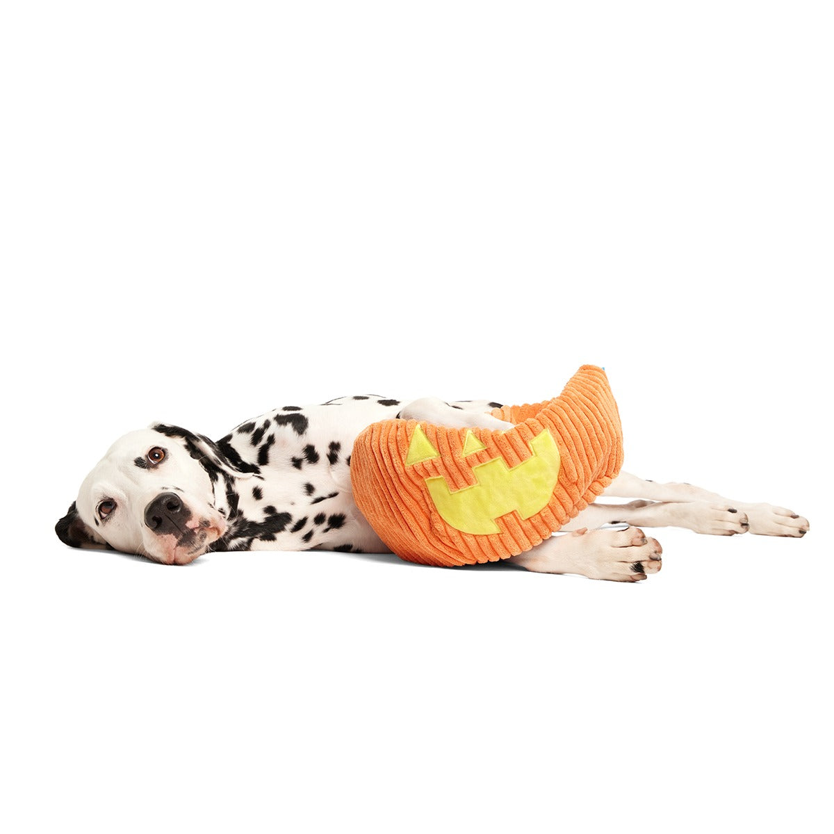 Chumpkin Plush Tug Dog Toy