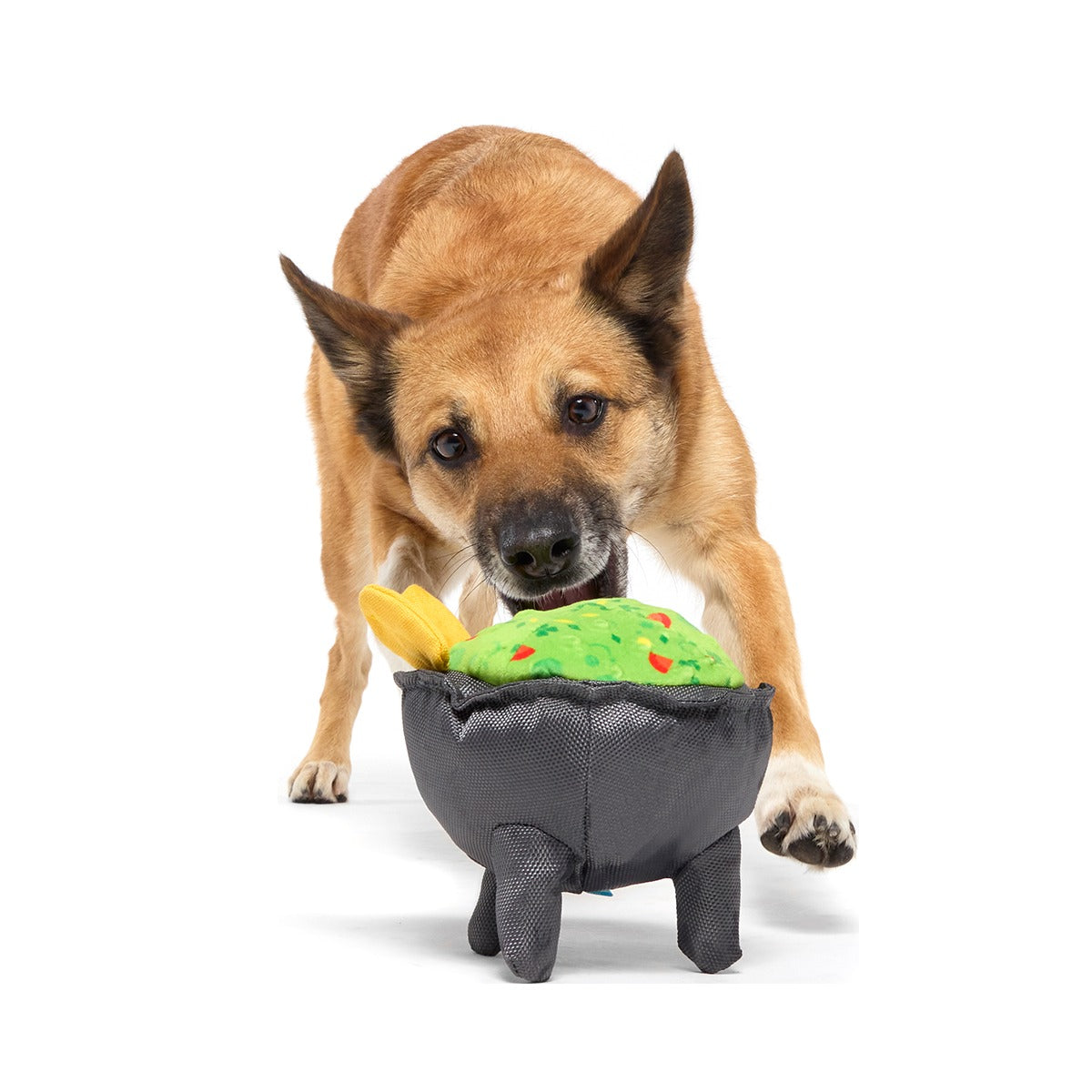 Stop, Guac, & Mole Plush Tug Dog Toy