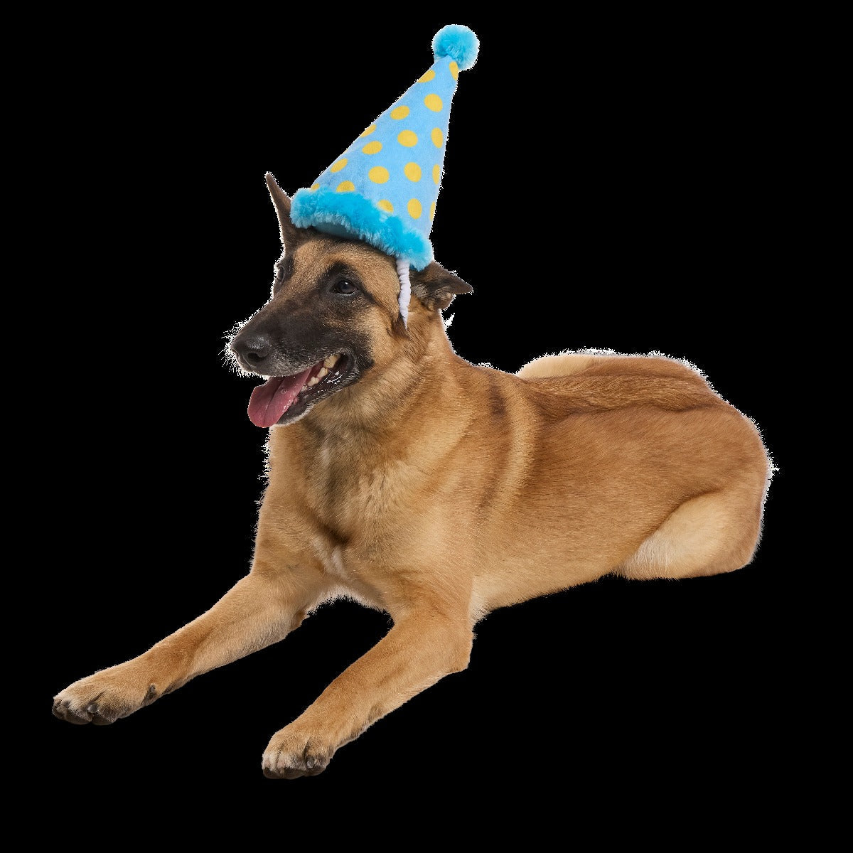 Party Hat Plush Wearable Dog Toy