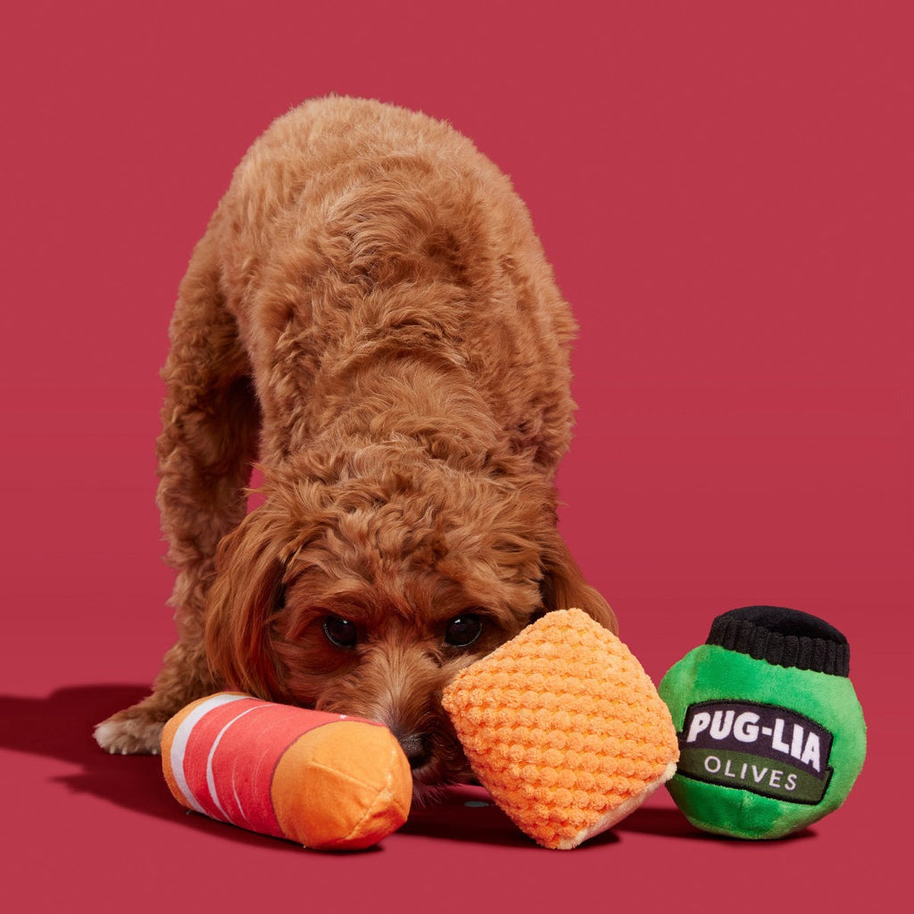 Primo Pawsto Plush Multi-Part Dog Toy