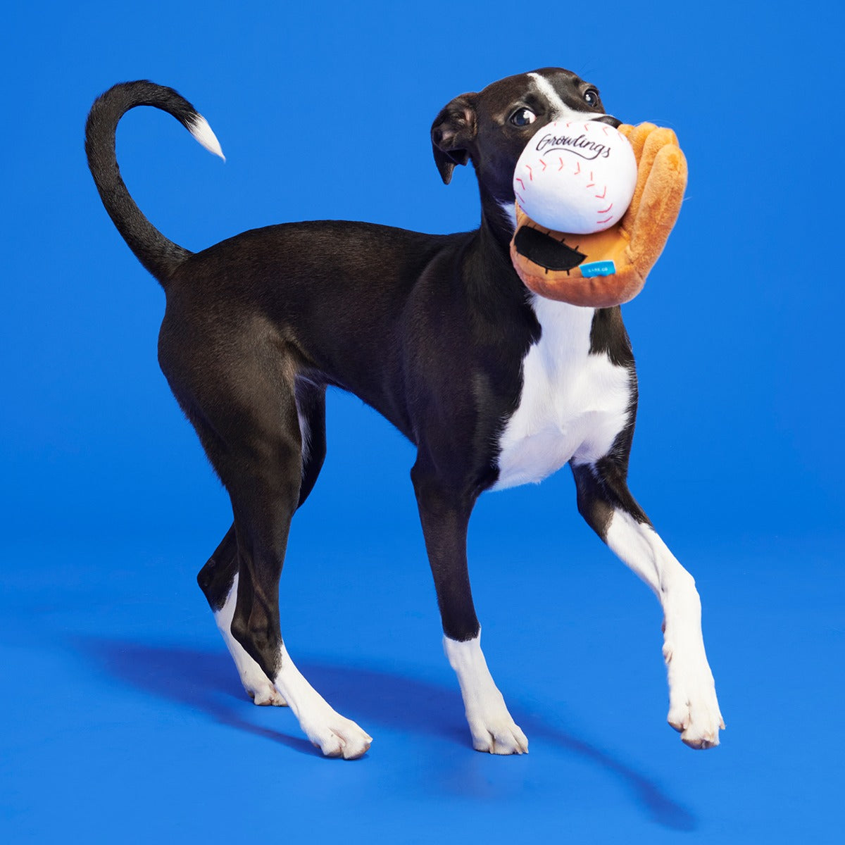 Growlings Baseball Glove Plush Multi-Part + Fetch Dog Toy