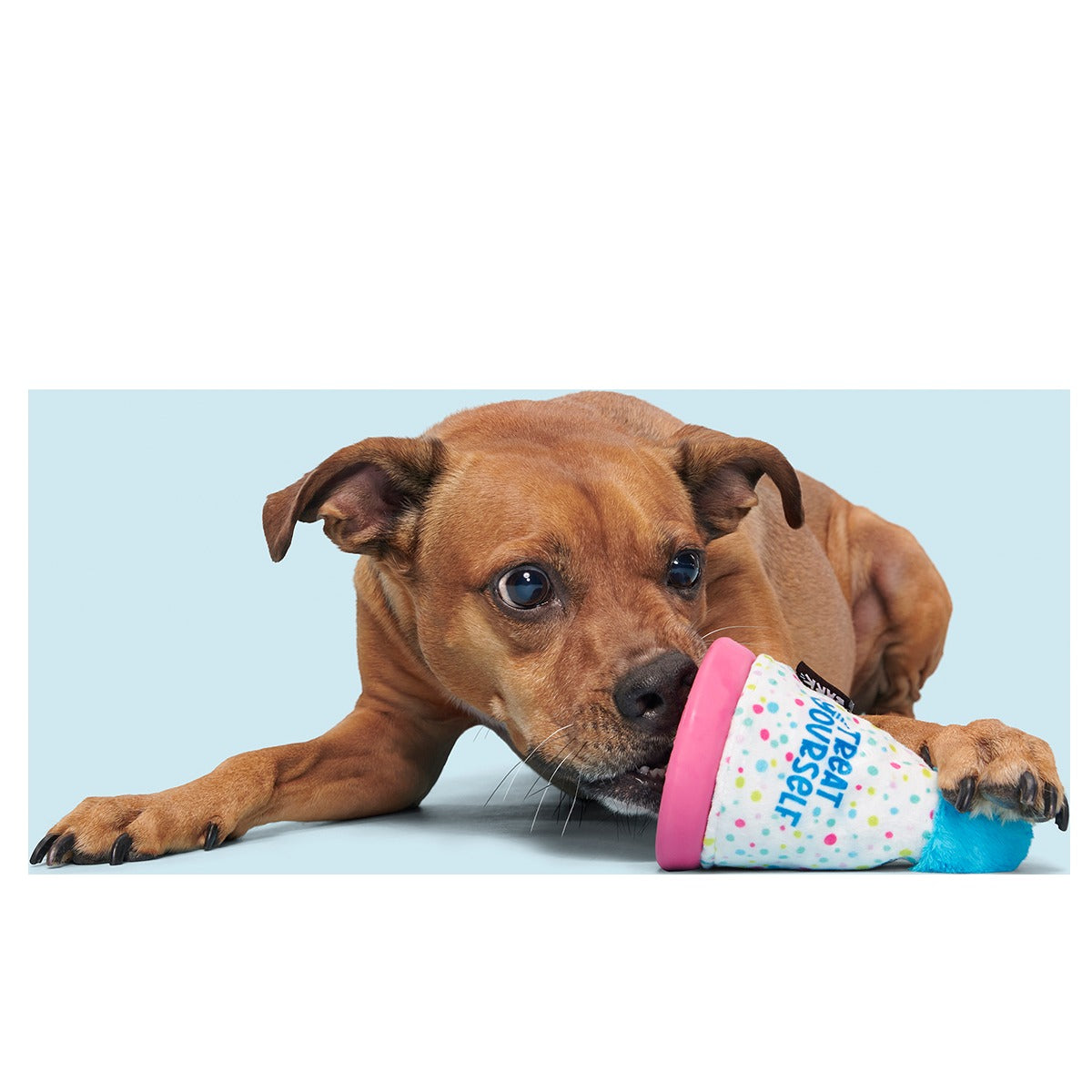 Treat Yourself Party Hat Super Chewer Durable 2-in-1 + Enrichment Dog Toy