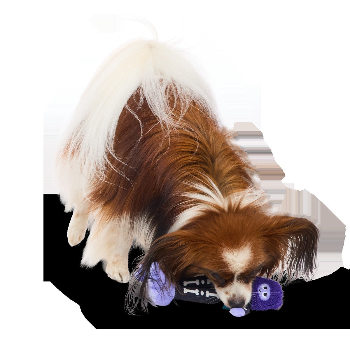 Boney Bigfoot Plush Tug Dog Toy