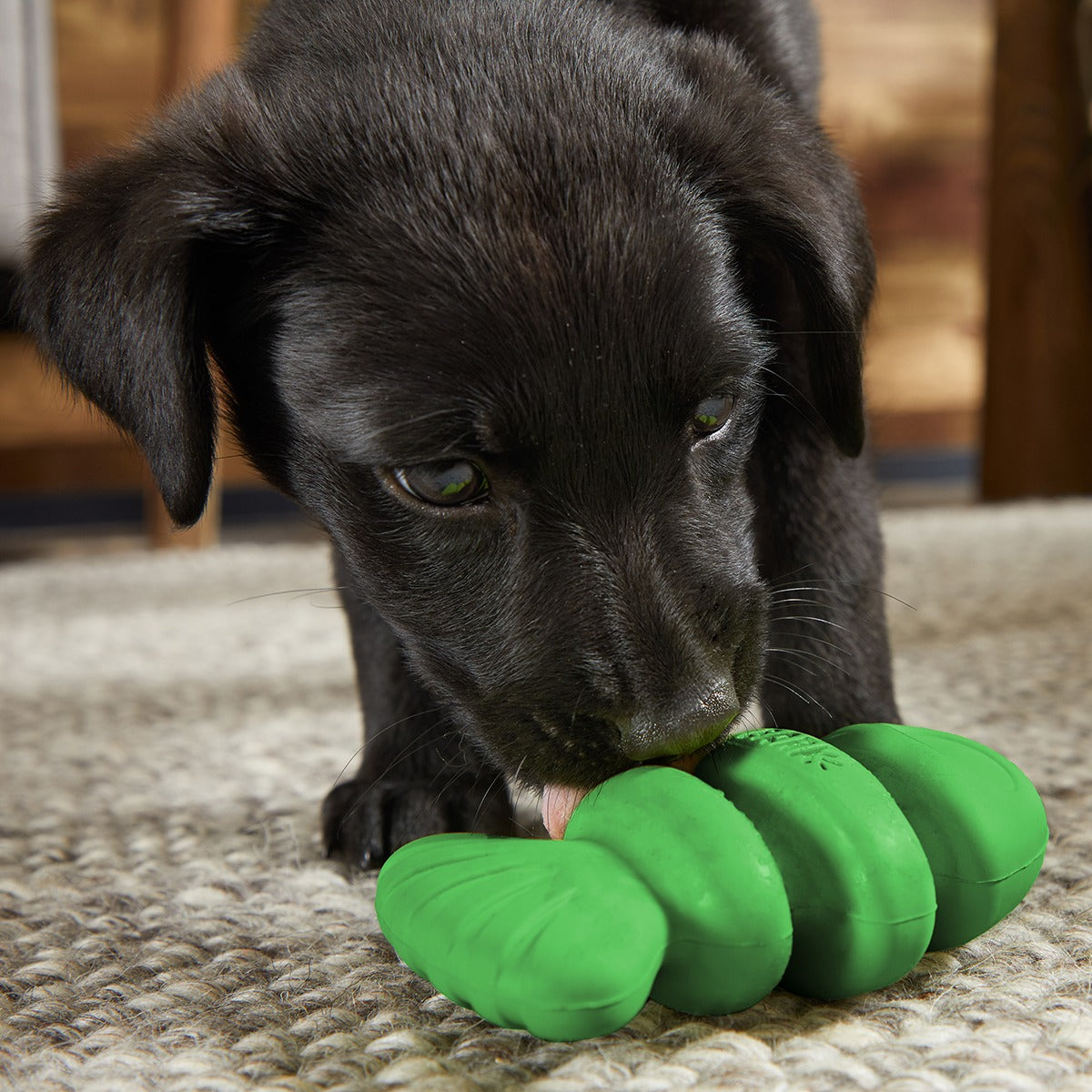 Drop The Bass Super Chewer Durable 2-in-1 + Enrichment Dog Toy