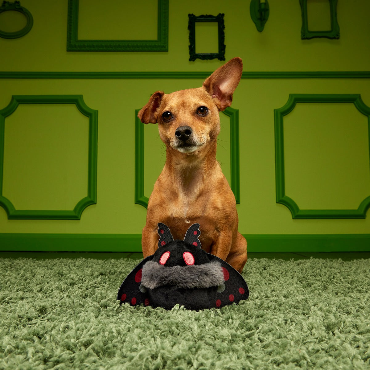 Mothmutt Super Chewer Durable 2-in-1 + Enrichment Dog Toy