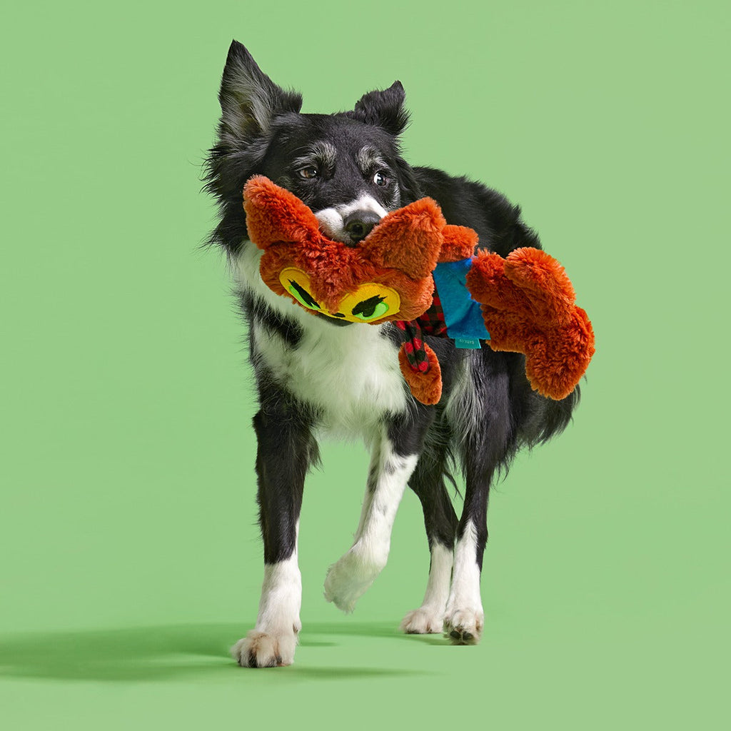 Teen Woof Plush Extra-Large + Tug Dog Toy