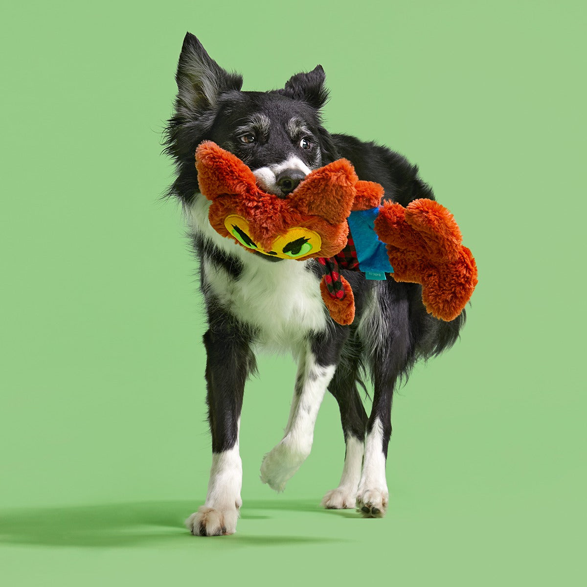 Teen Woof Plush Extra-Large + Tug Dog Toy