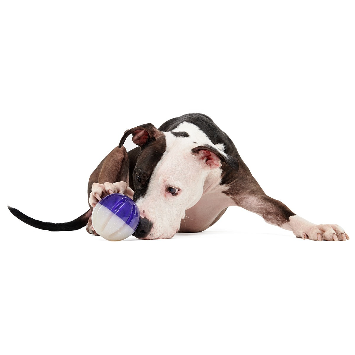 Nepzoom Super Chewer Durable Enrichment + Fetch Dog Toy