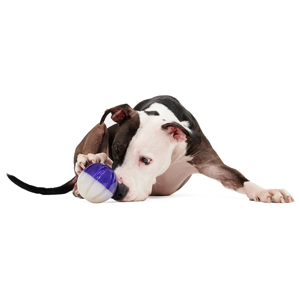 Nepzoom Super Chewer Durable Enrichment + Fetch Dog Toy