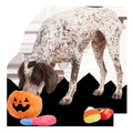 Howl-o-ween Haul Plush Extra-Large + Multi-Part + Enrichment Dog Toy