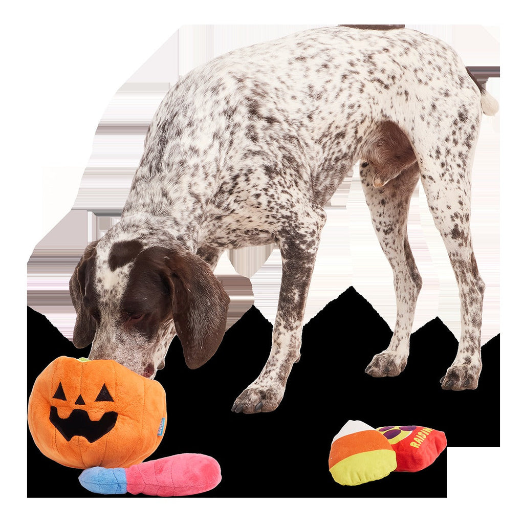Howl-o-ween Haul Plush Extra-Large + Multi-Part + Enrichment Dog Toy