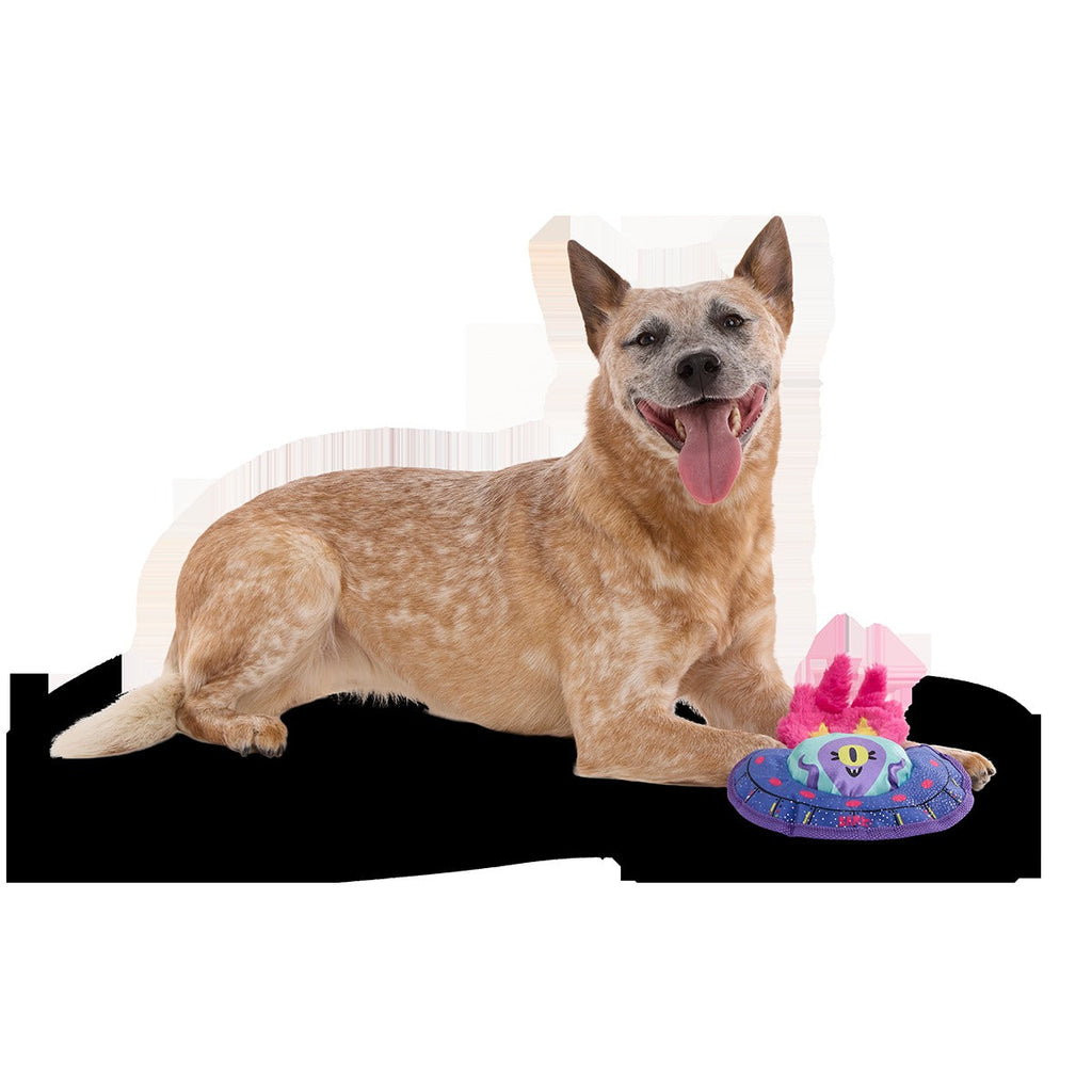 Blast Arf! Plush Tug Dog Toy