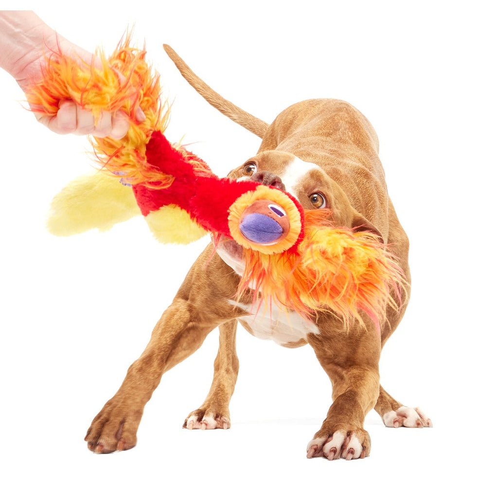 FawkesTM Plush Tug Dog Toy