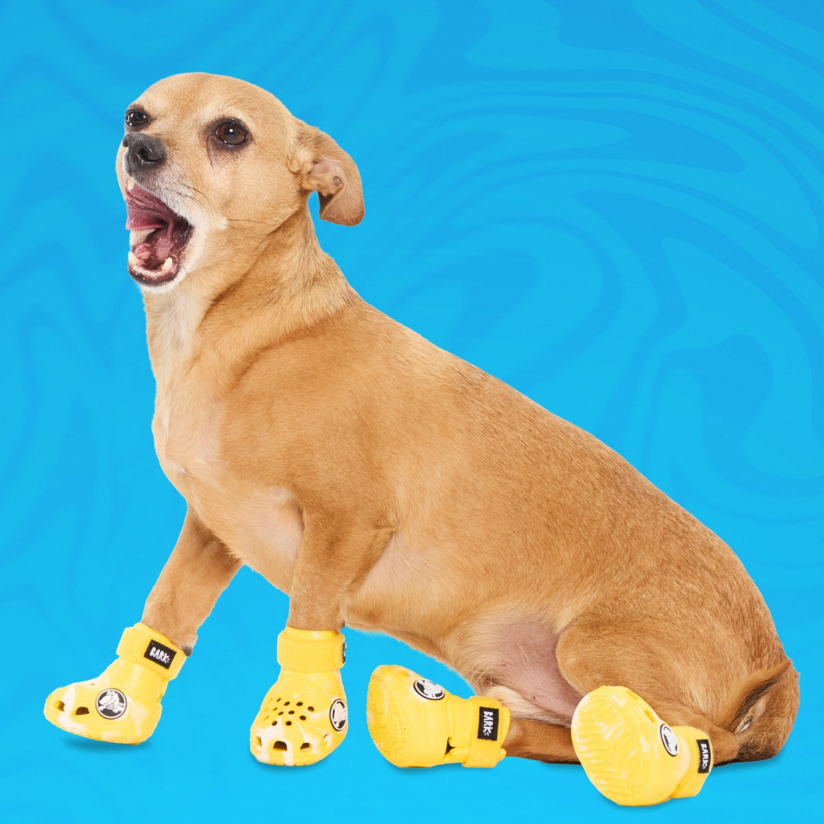 CrocsTM Shoes For Dogs