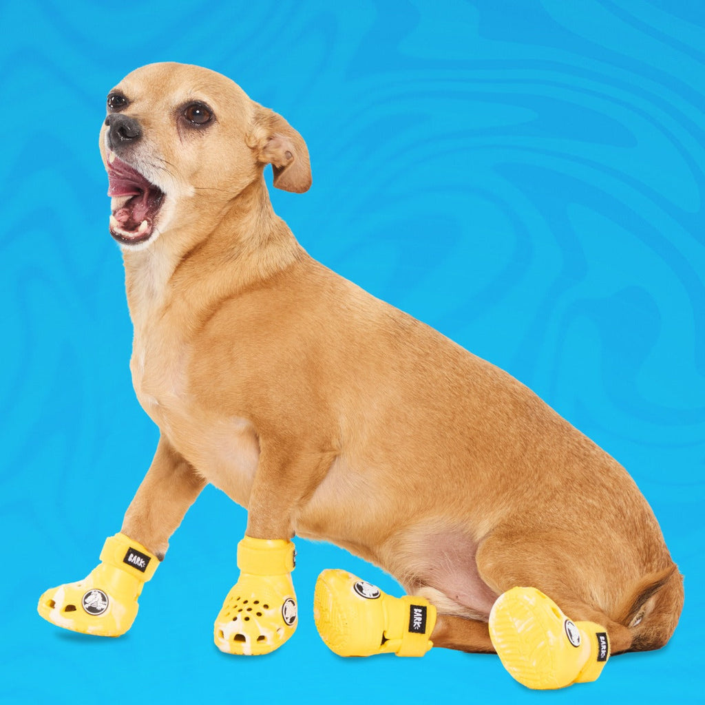 CrocsTM Shoes For Dogs