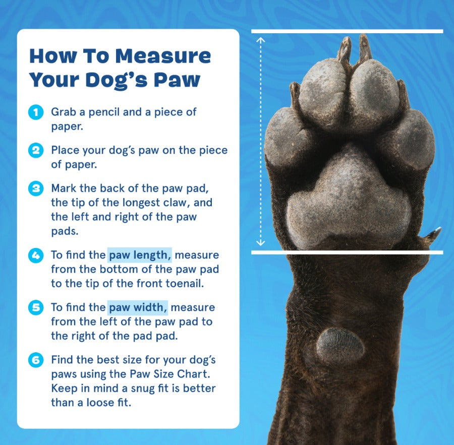 CrocsTM Shoes For Dogs