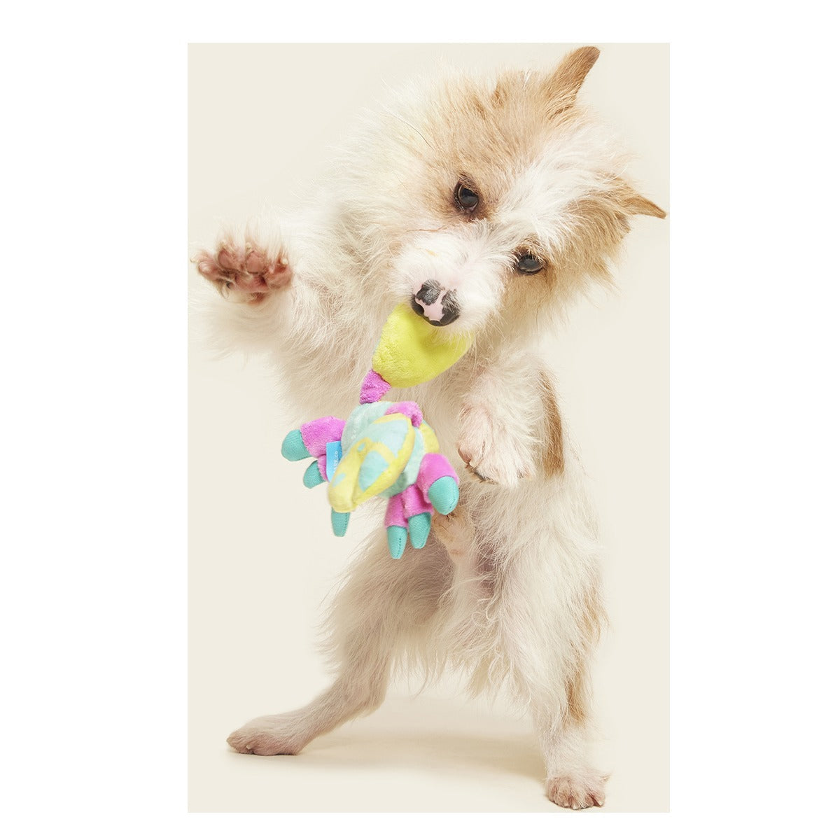 Moe The Mosaic Crab Plush Tug Dog Toy