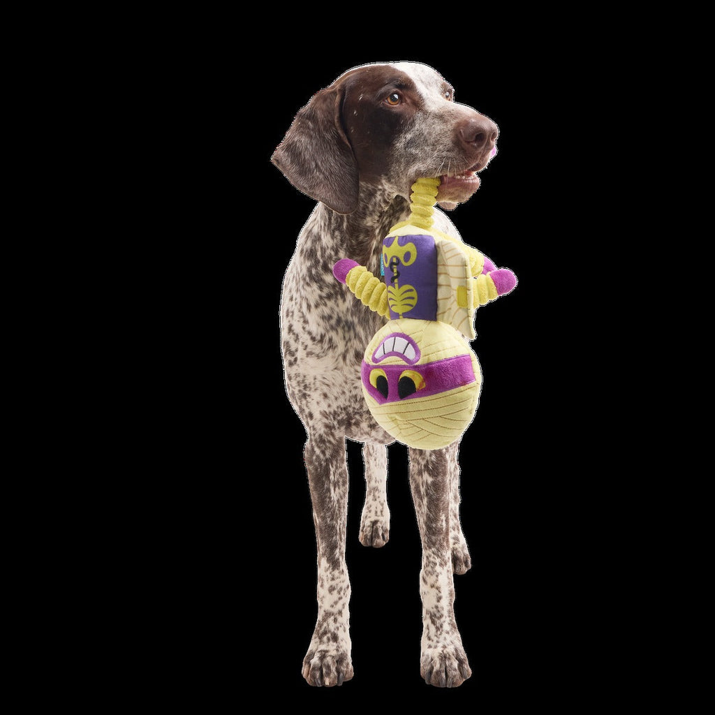 Unravelin’ Evan Plush Extra Large + Tug Dog Toy
