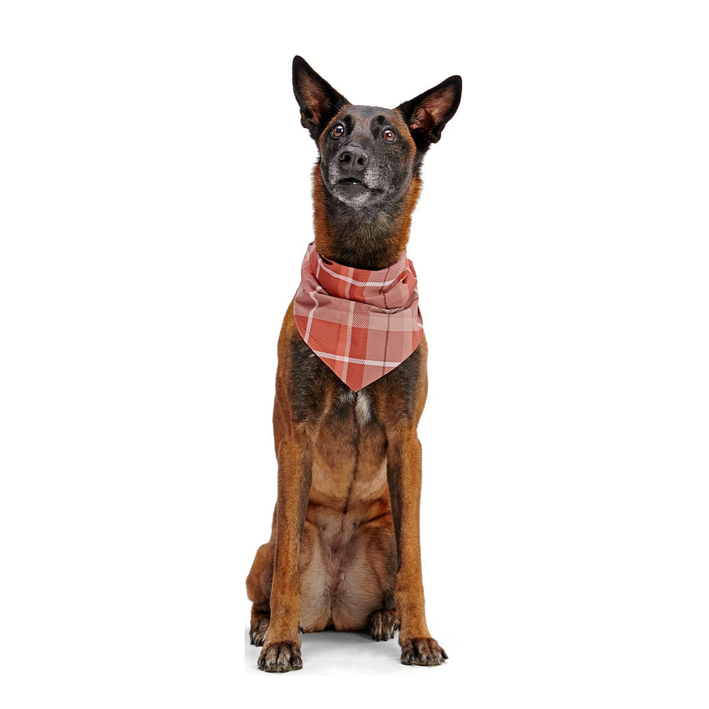 Fall Reversible Dog Bandana