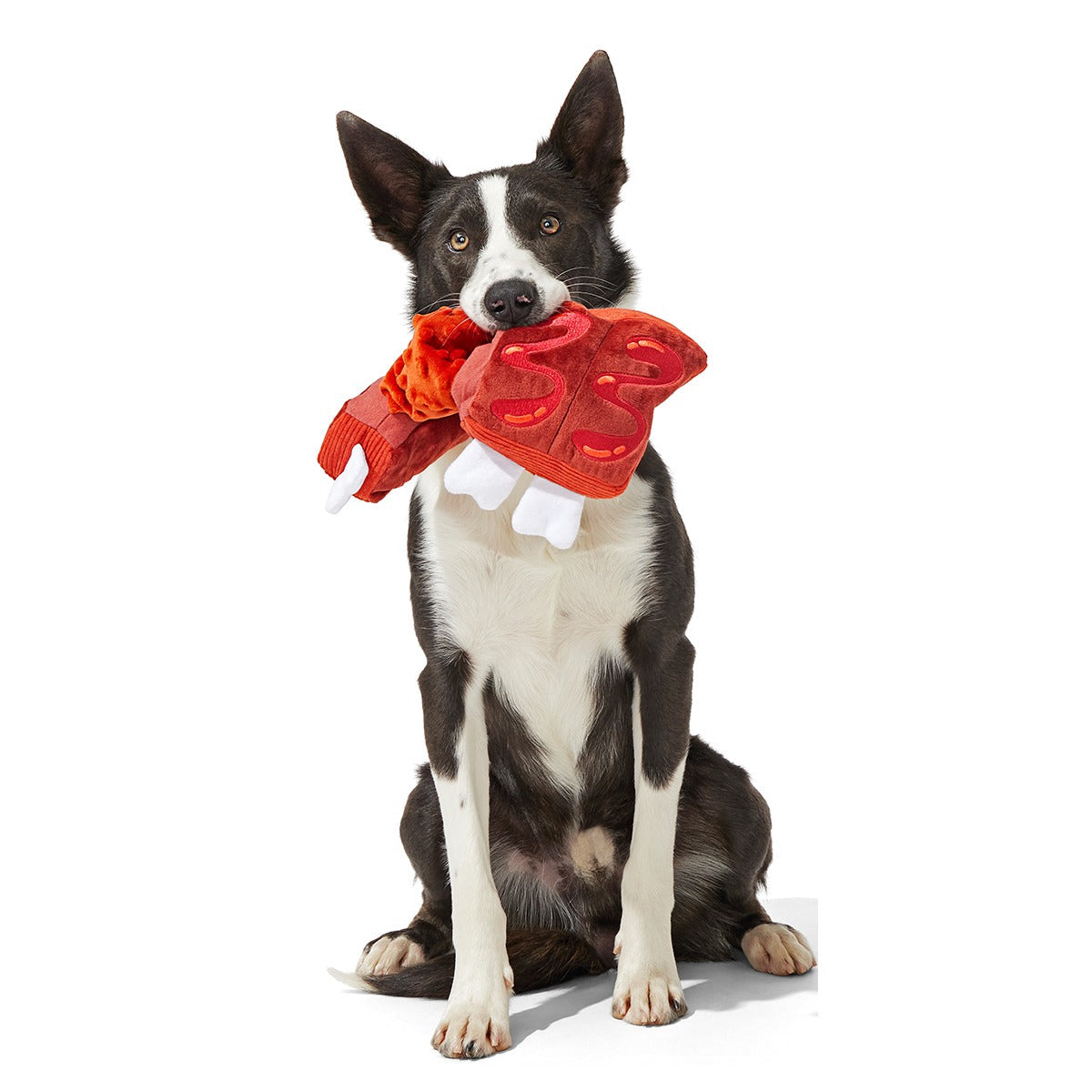 Baby Bark Ribs Plush Tug Dog Toy