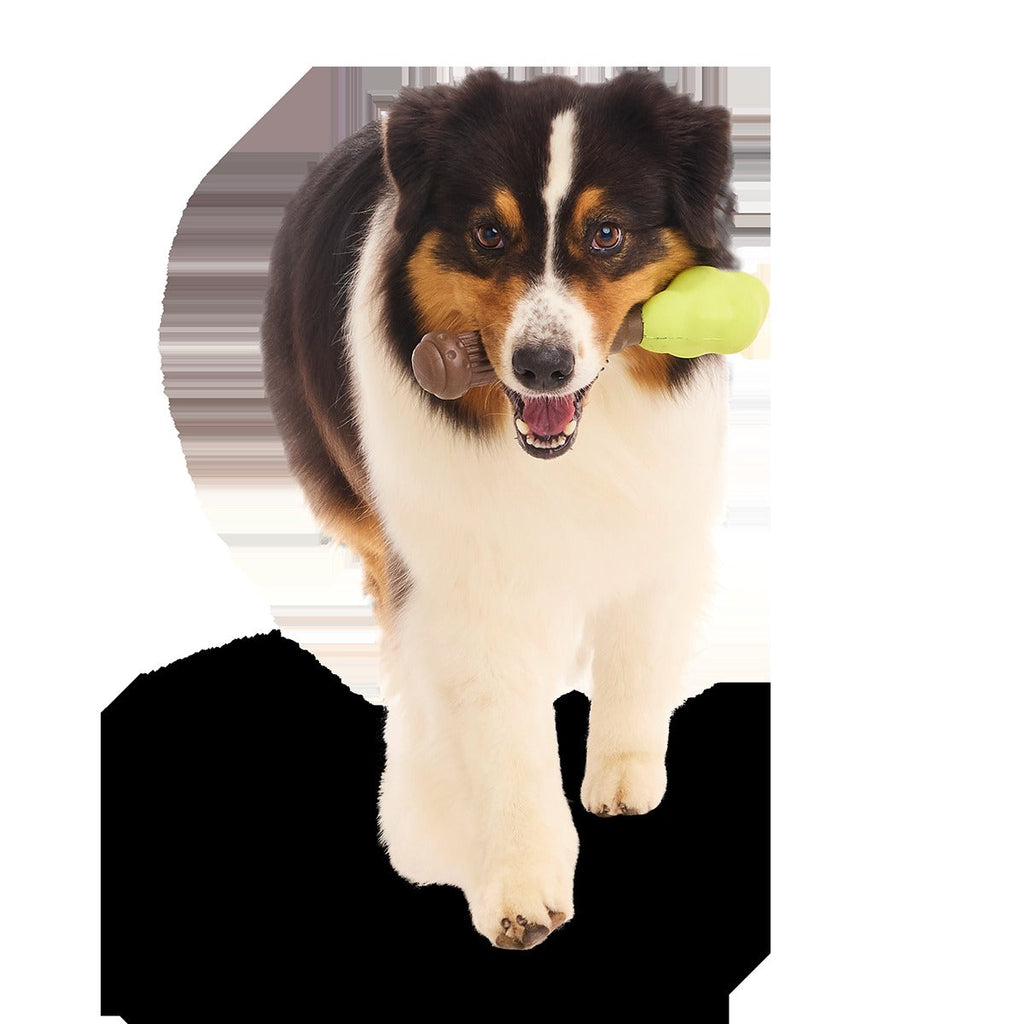 Harry's BogeyTM Wand Super Chewer Durable Gnaw Dog Toy