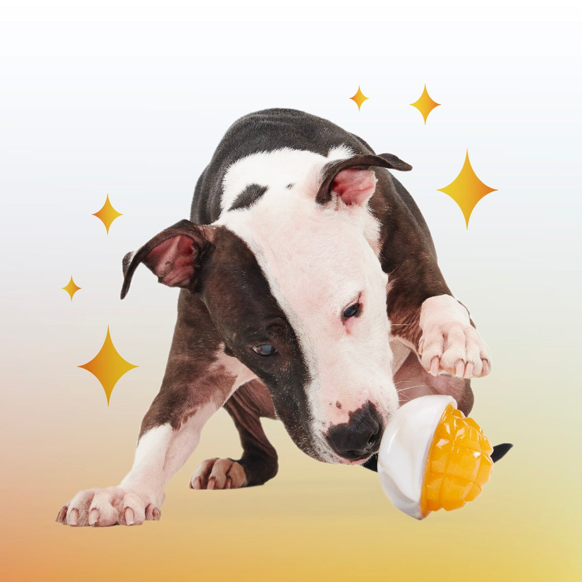 Crystal of the Month Club, Super Chewer Durable Monthly Dog Toys