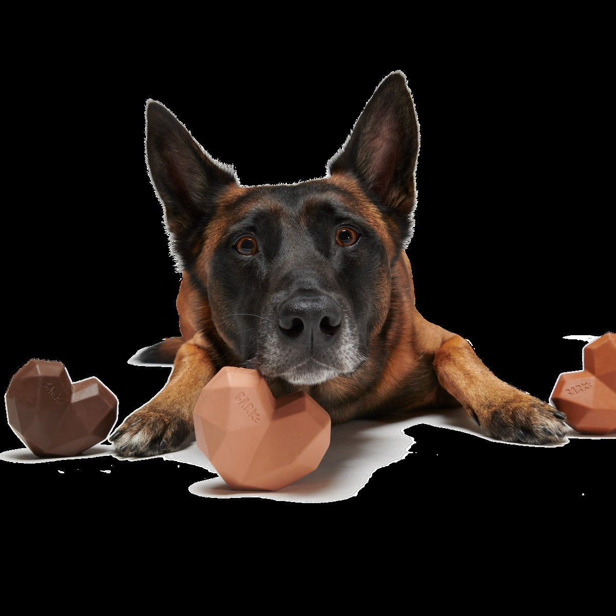 Box of Chocolicks Super Chewer Durable Multi-Part + Gnaw Dog Toy