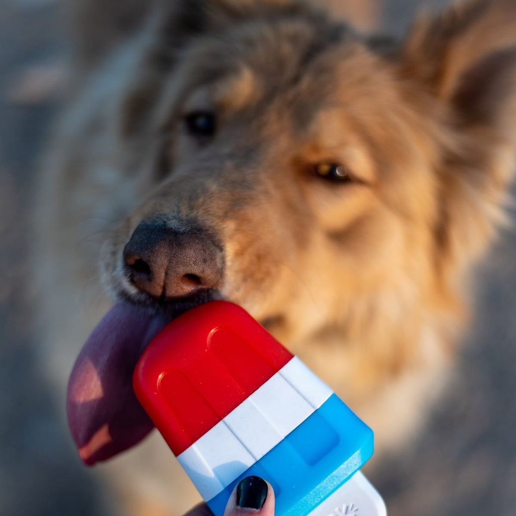 Red White + Chew Ice Pop Super Chewer Durable Gnaw Dog Toy
