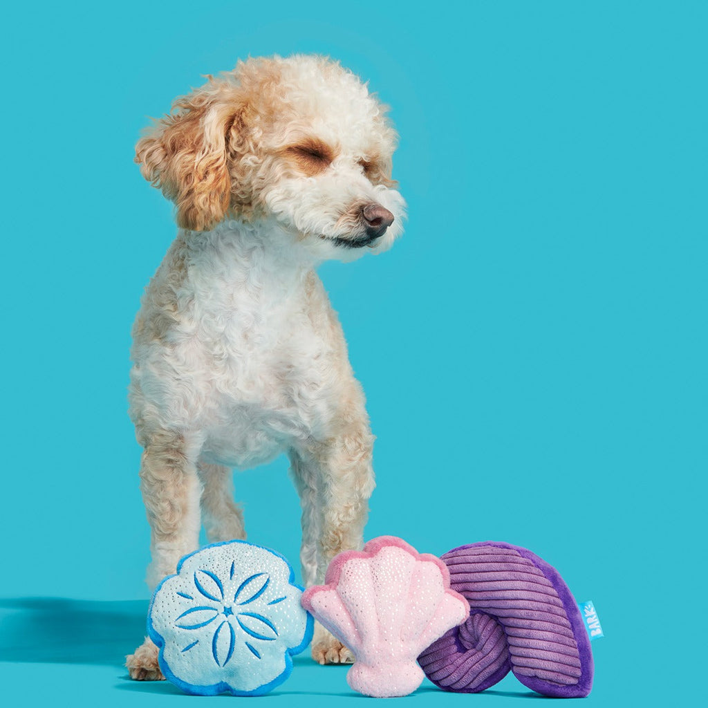 Fetchin' Squeakshells Plush Multi-Part Dog Toy