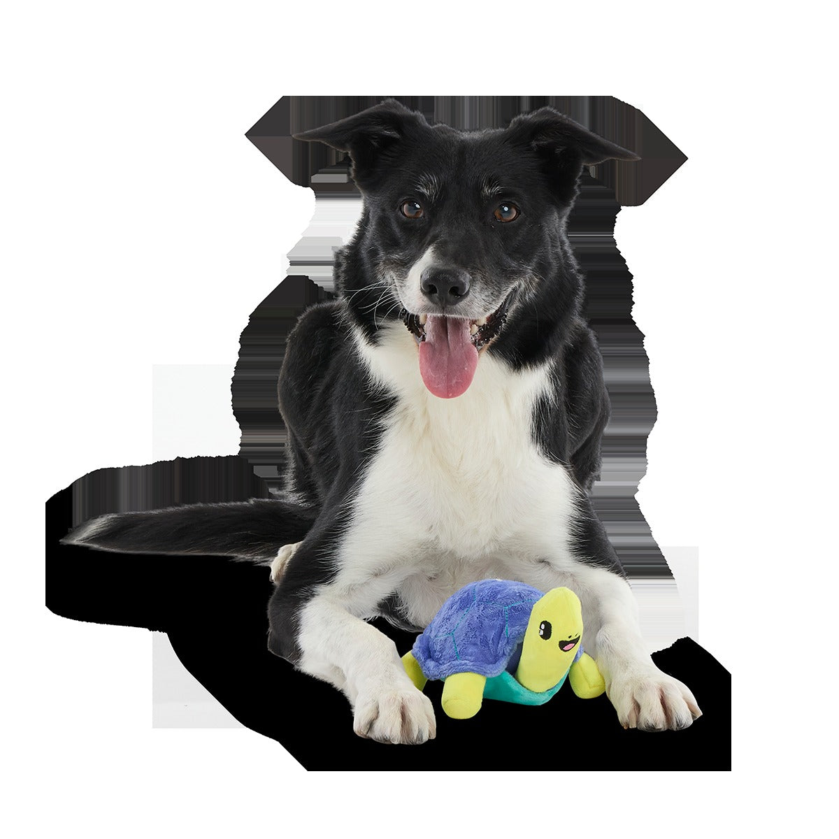 Tiago Tortuga Plush Tug Dog Toy