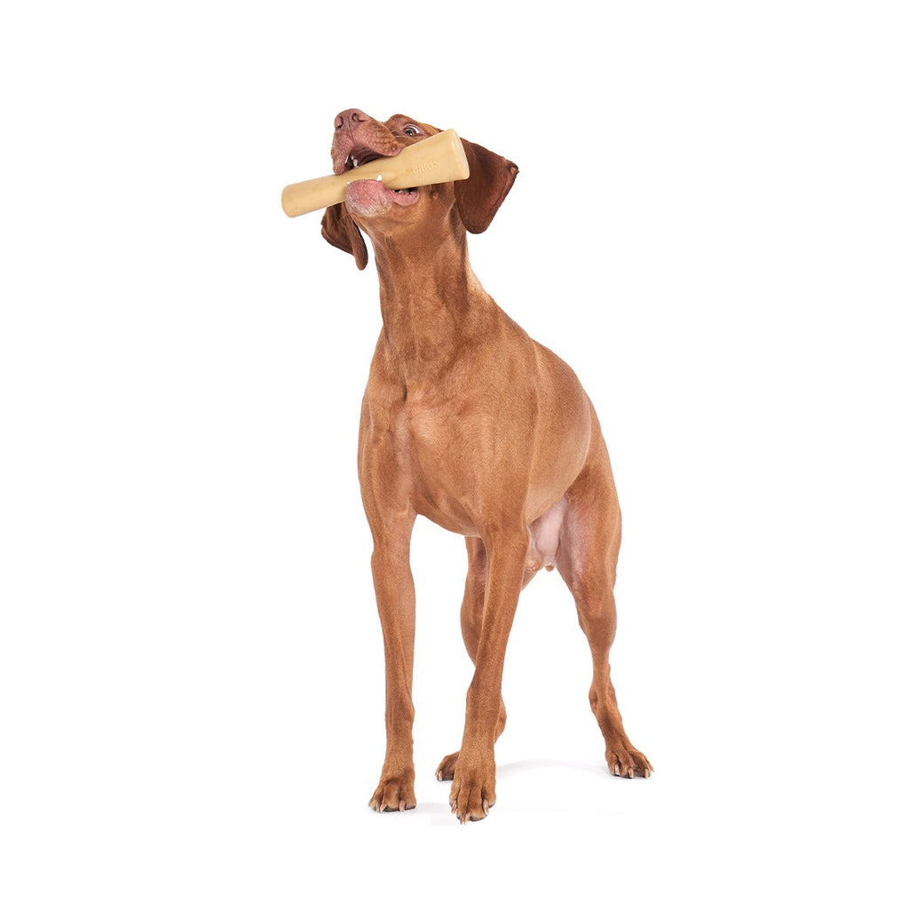 Mighty Bone Bacon Super Chewer Durable Gnaw Dog Toy