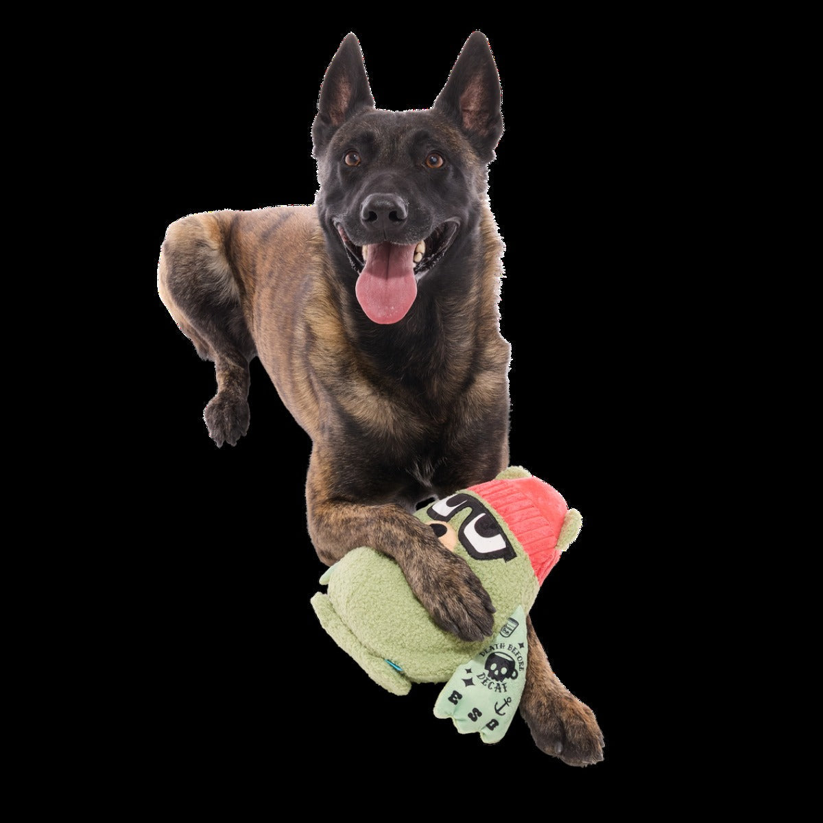 Bearista Plush Extra-Large + Tug Dog Toy