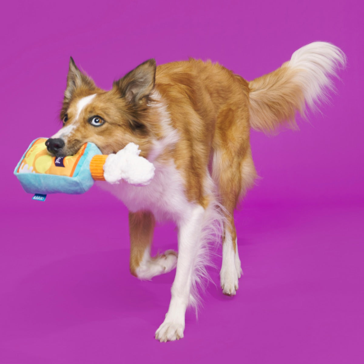 Sunsqueak Plush Tug Dog Toy